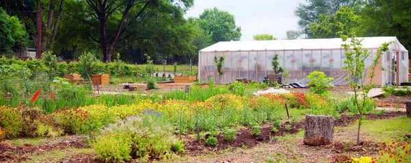 Truly Living Well Center for Natural Urban Agriculture - Collegetown Farm by null