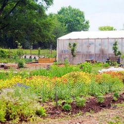 Truly Living Well Center For Natural Urban Agriculture - Wheat Street Garden
