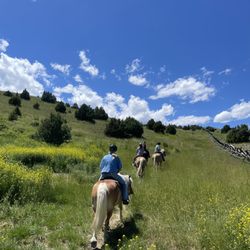 Erik's Ranch - Wildflower season