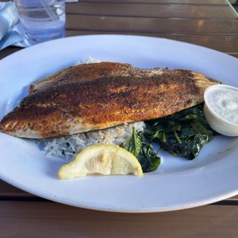 Fish City Grill - Rainbow Trout - Seafood Near Me - Pearland, Texas