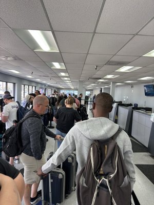 Fox Rent A Car Los Angeles by null