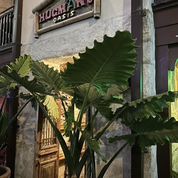 Hugman's Oasis - Tiki Bars Near Me - San Antonio, Texas Hugman's Oasis - Tiki Bars Near Me - San Antonio, Texas