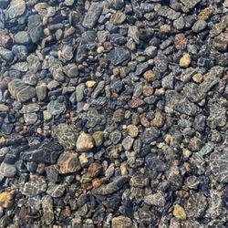 Lodi Point State Park - Clear water and all those rounded rocks