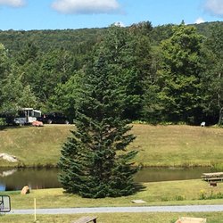 Greenwood Lodge & Campsites - Wooded campsites & open sites.