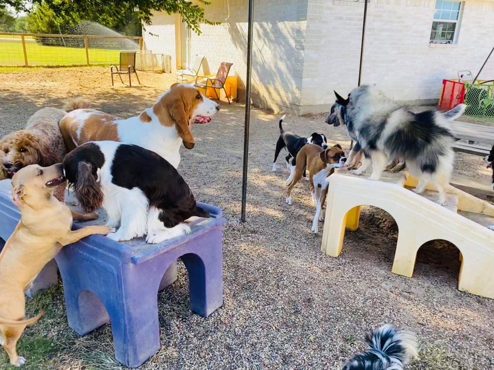 PET RANCH Updated September 2024 13 Reviews 11885