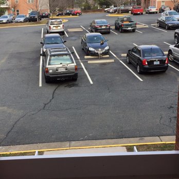 EastGate Terrace Apartments - Cats.. - Apartments Near Me - Triangle, Virginia EastGate Terrace Apartments - Cats.. - Apartments Near Me - Triangle, Virginia