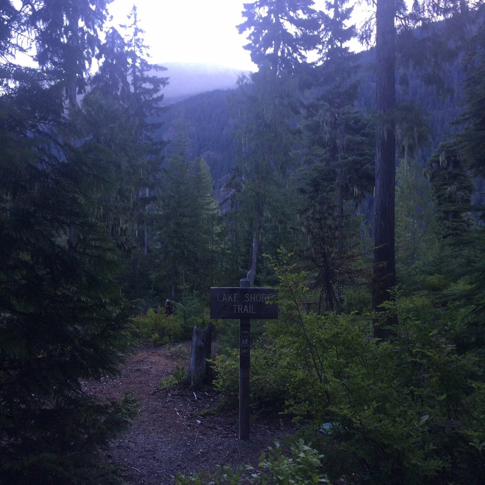 Lake Kachess Campground - One of the trails! - Campgrounds Near Me - Easton, Washington Lake Kachess Campground - One of the trails! - Campgrounds Near Me - Easton, Washington