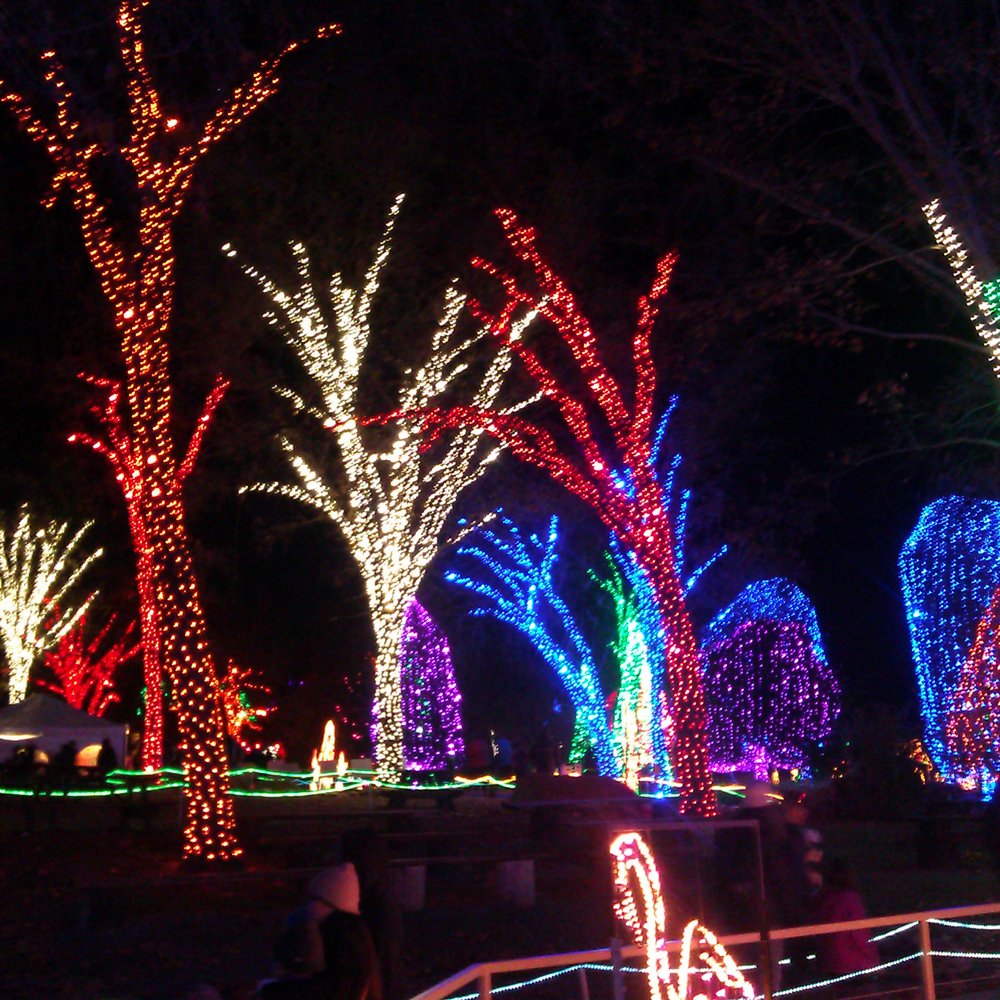 Holiday Lights at C.A.L.M. - Festivals Near Me - Bakersfield, California Holiday Lights at C.A.L.M. - Festivals Near Me - Bakersfield, California