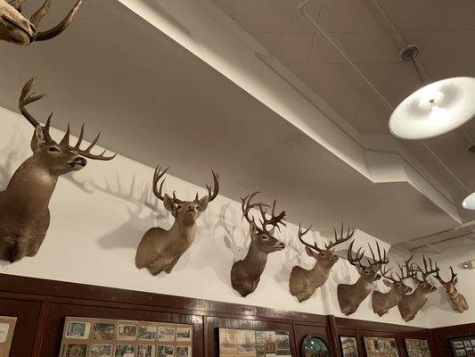 Photo of Schilos Delicatessen - San Antonio, TX, US. In the backroom