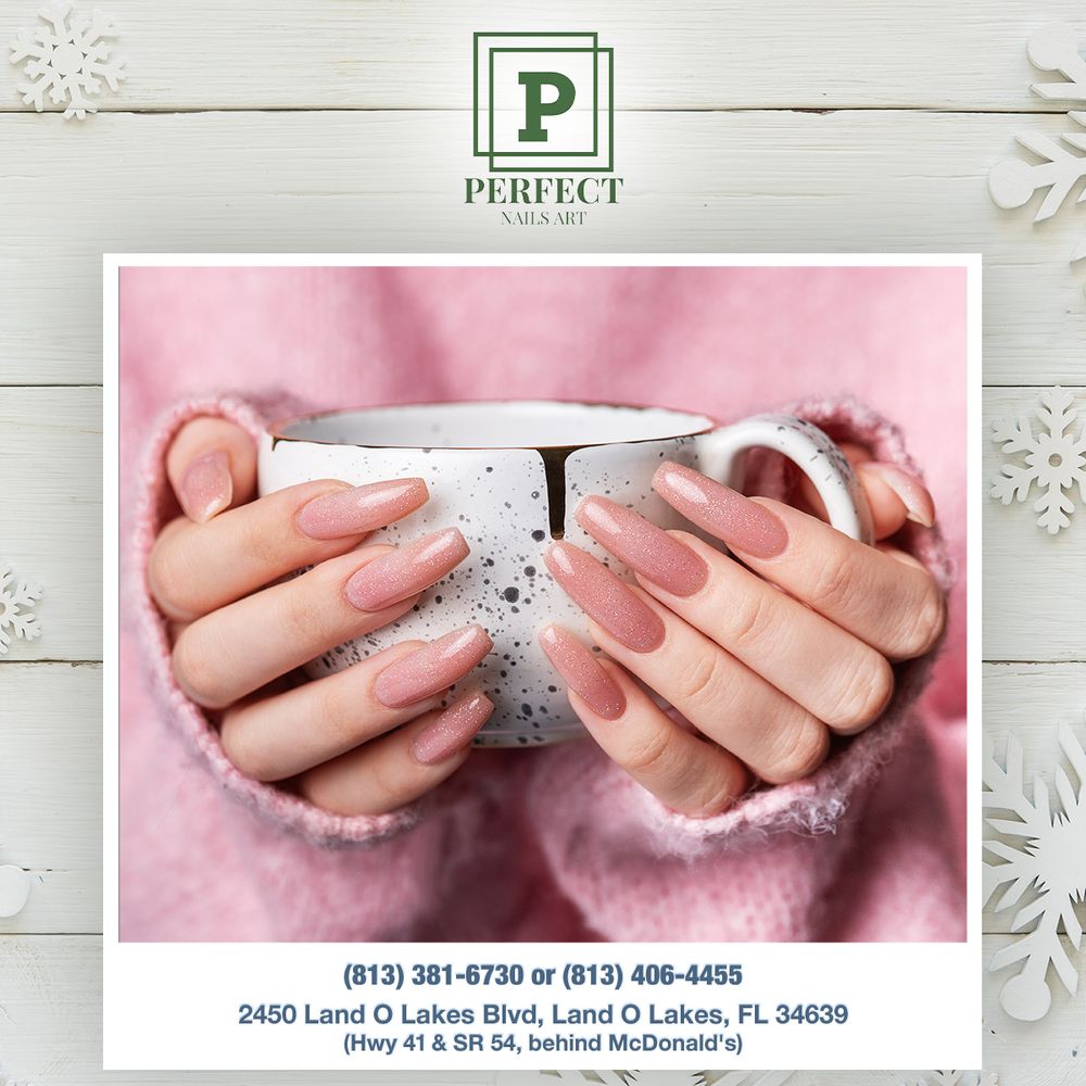 PERFECT NAIL ART Updated May 2024 104 Photos 2452 Land O' Lakes