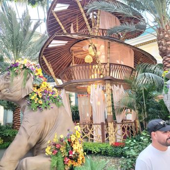 Bellagio - Hotels Near Me - Las Vegas, Nevada Bellagio - Hotels Near Me - Las Vegas, Nevada