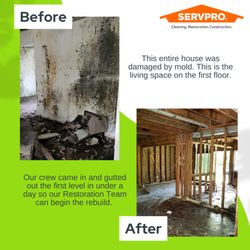 SERVPRO of Society Hill - Servpro specializes in mold testing and removal. We also offer reconstruction services.