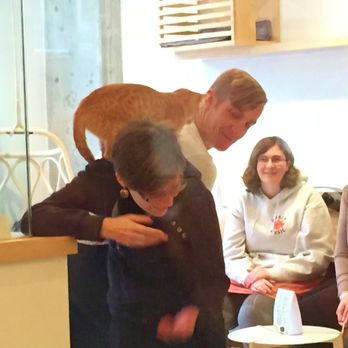 KitTea - Cat pounces on a willing customer - Pet Adoption Near Me - San Francisco, California KitTea - Cat pounces on a willing customer - Pet Adoption Near Me - San Francisco, California