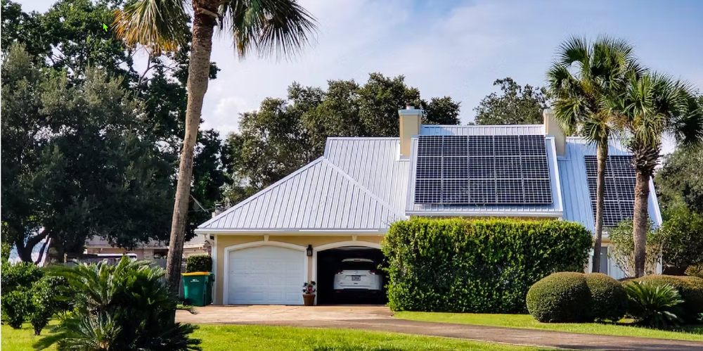 Slide of Team Apricot