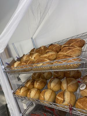 Random Acts of Breadness by null