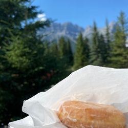 Frankie D’s Donuts - Donuts in the mountains!