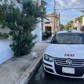 La Cocina de Silvia - Walking up to the restaurant -- located inside the open garage door on the left - Mexican Near Me - Cozumel, ROO La Cocina de Silvia - Walking up to the restaurant -- located inside the open garage door on the left - Mexican Near Me - Cozumel, ROO