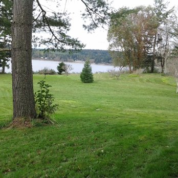Green Thumb Solutions - Lawn maintenance - Landscaping Near Me