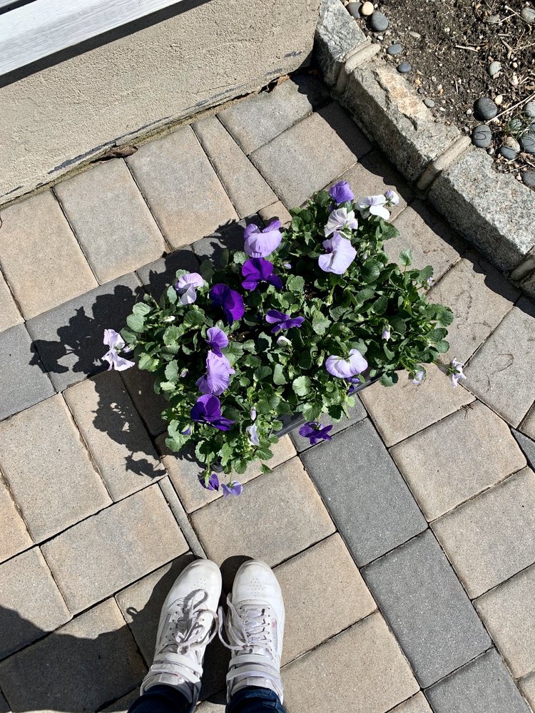 NORMAN KEIL WHOLESALE NURSERIES Updated August 2024 38A Fifty Acre