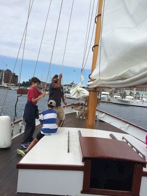 Newport Classic Cruises Bannister's Wharf by null