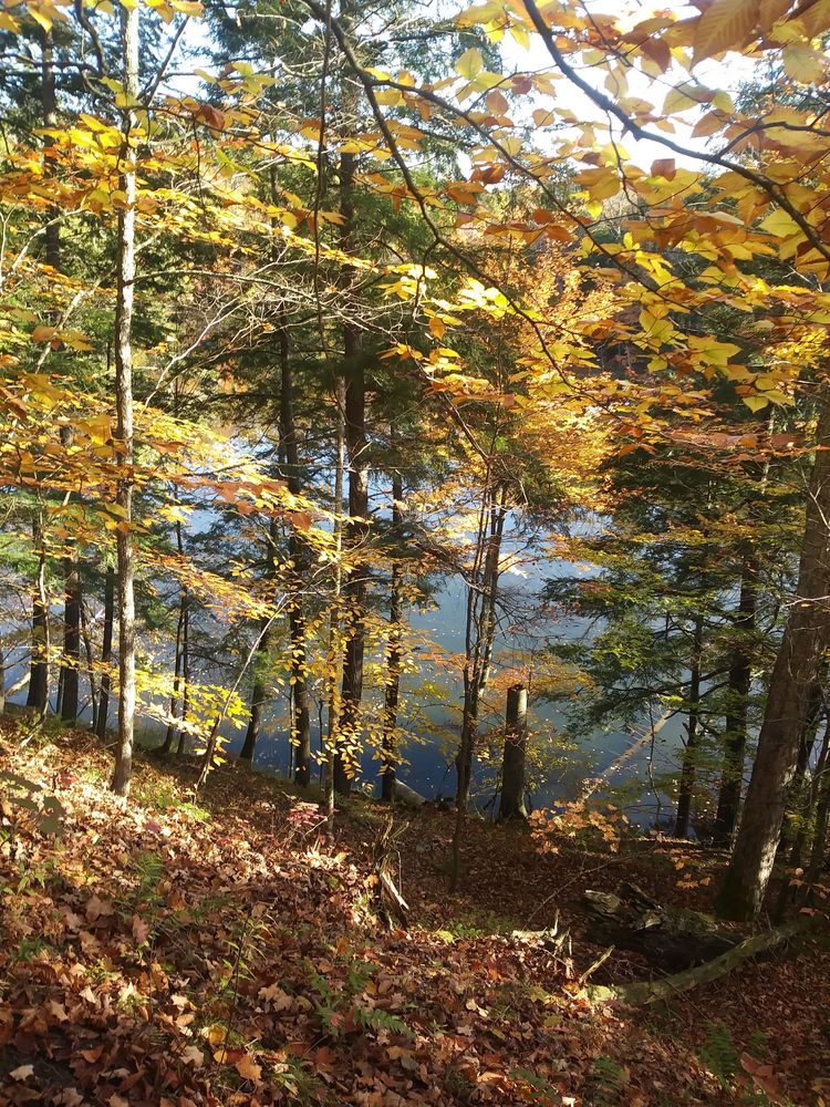 Manistee River Trail Logo