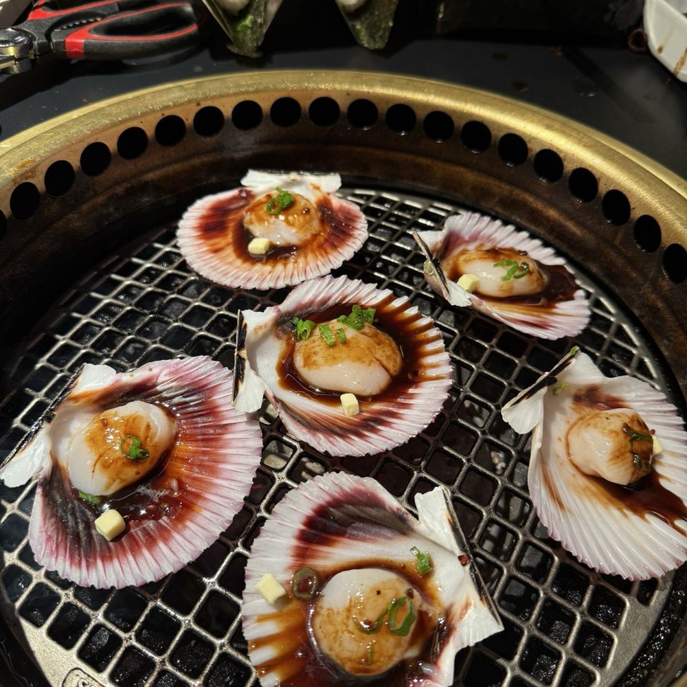 Scallops