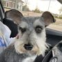 K-9 Pro Cuts