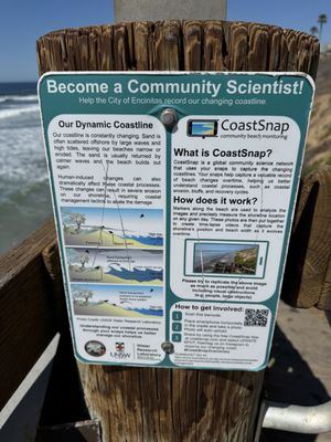 Grandview Surf Beach by null