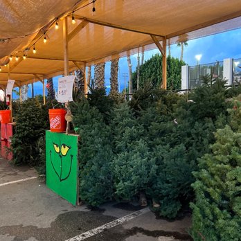 The Home Depot - Christmas Trees - Nurseries & Gardening Near Me - Baldwin Park, California The Home Depot - Christmas Trees - Nurseries & Gardening Near Me - Baldwin Park, California