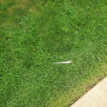 Denny's - Knife on the grass.. from the time we sat to the time we left.  This place needs help. These workers deserve better.. - American Near Me - Ontario, California