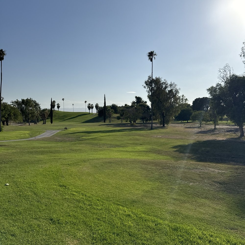 1st fairway! So green! 1st fairway! So green!