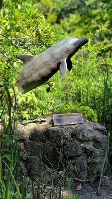 North Carolina Aquarium at Fort Fisher by null