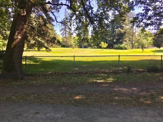 Green Lake Pitch & Putt by null