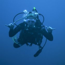 The Dive Shop