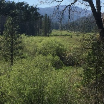 Meadow Loop Trail - Hiking Near Me - Wawona, California Meadow Loop Trail - Hiking Near Me - Wawona, California