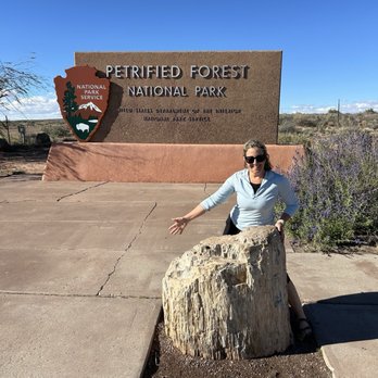 Petrified Forest National Park - Parks Near Me - Petrified Forest, Arizona
