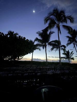 Paradise Cove Luau by null