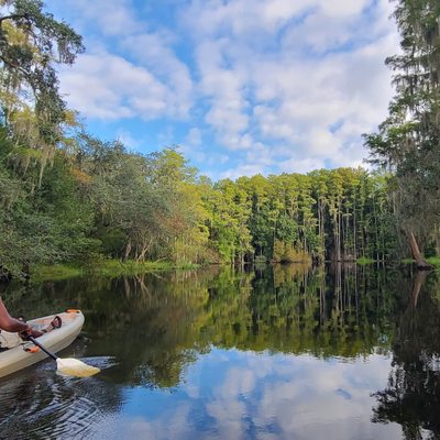 Shingle Creek Regional Park by null