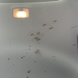 Buckeye Chem-Dry - The ceiling BEFORE cleaning.