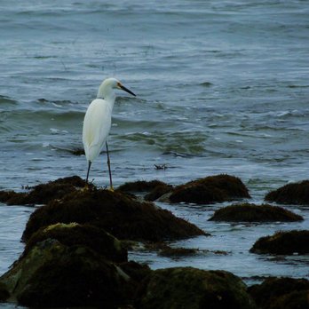 Hammonds Beach - Beaches Near Me - Santa Barbara, California