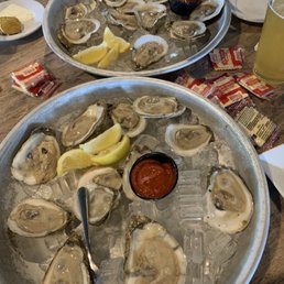 Oysters