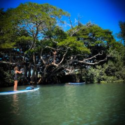 Tropical Kayak Rentals
