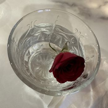 Brew and Bloom - Themed Cafes Near Me - Edmonton, Alberta Brew and Bloom - Themed Cafes Near Me - Edmonton, Alberta