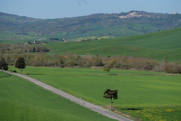 L'Olmo by null