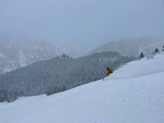 salty ski service by null