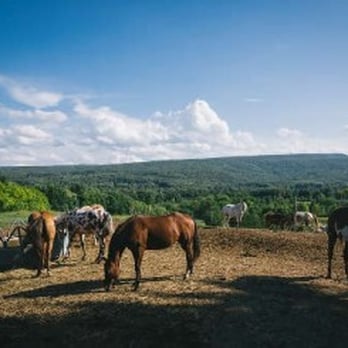 RUSTIC RIDGE VIEW FARM - Updated January 2026 - 43 Photos & 13 Reviews ...