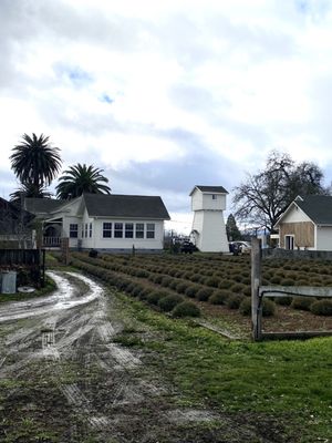 Peace and Plenty Farm by null