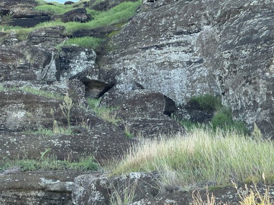 Rano Raraku by null