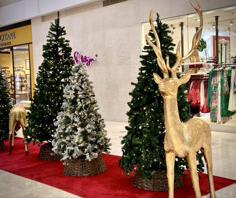 Westfield Montgomery by null Westfield Montgomery by null