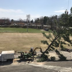 Newcomb Tree Service
